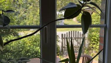 Ostseetraum Lischow - Foto 4