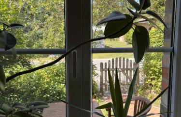 Ostseetraum Lischow - Foto 4