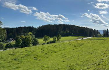 Falkaunest cozy Apartment mit Sauna am Feldberg - Foto 76