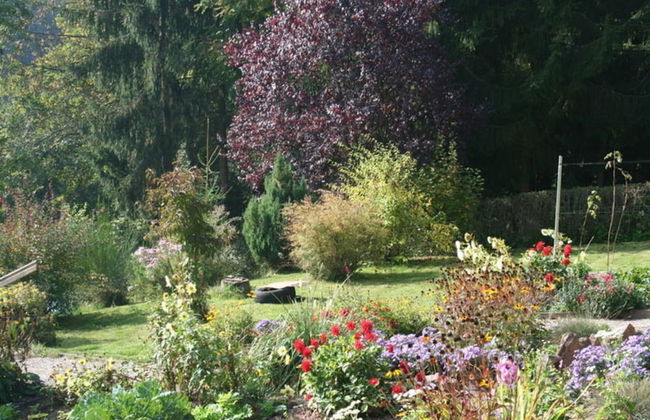 Ferienwohnung mit Balkon im Schwarzwald - Foto 25