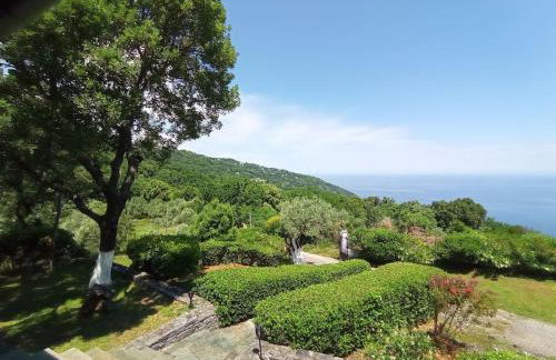 Aphrodite 's cottage - Foto 13