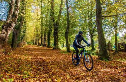 Le Moulin de la Planquette - Foto 36