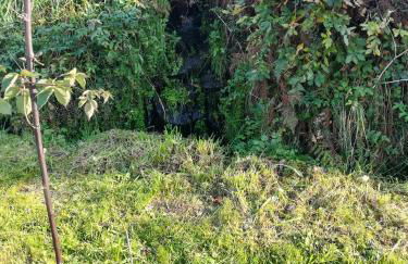 Cabanelas Country House - Casa do Afonso - Foto 31