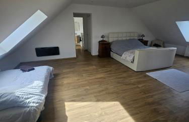 Willowtreegites - Foto 24