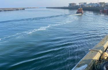 Stunning quirky home in Amble - Foto 26