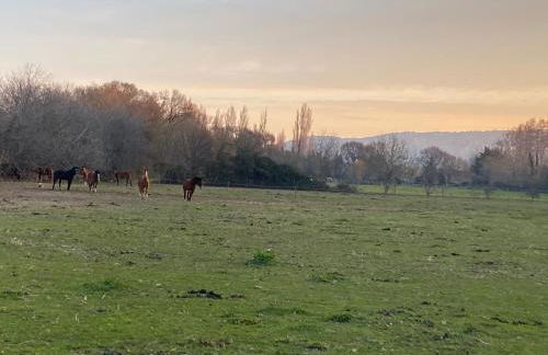 Mazet au pied des Alpilles, avec Piscine & Pétanque - Foto 32