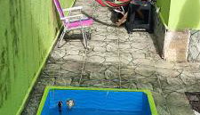 Grandma's house 200 meters from the sea in Itanhaém - Foto 3