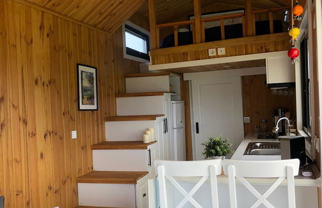 Radika Datca - Photo 9