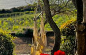 La PAVONCELLA 2 - Foto 21