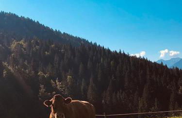 Baita Alpenrose - Photo 62