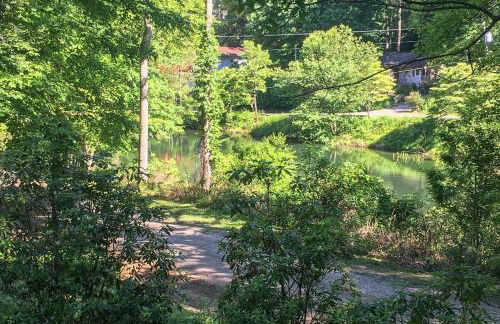 Blue Ridge Mountain Escape about 8 Mi to Chimney Rock - Foto 26