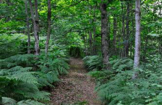 Borgo Caiano Country Inn - Foto 62
