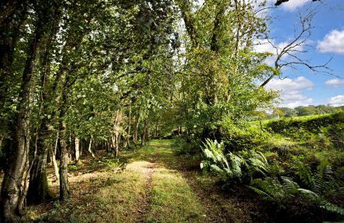 Colleton Hall and East Wing - Foto 66