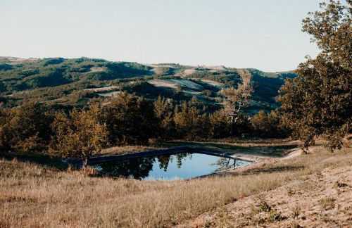 Azienda Agricola Saint Hubert - Foto 90