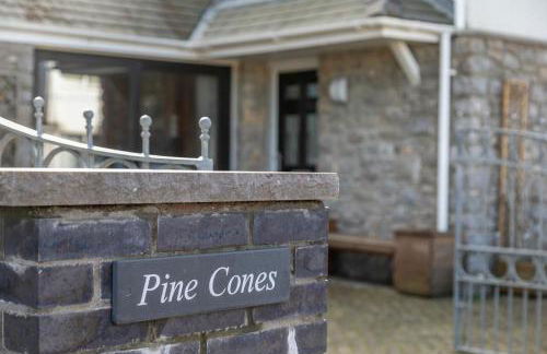 Pinecones - Foto 24