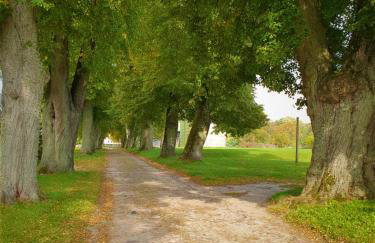 Kartkówka - Photo 31