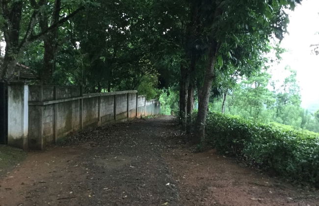 Captain's Bungalow - Foto 31