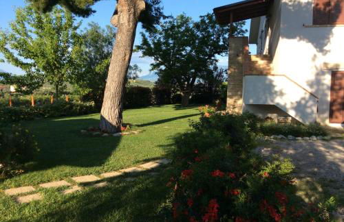 Agriturismo Fattoria colle Luca - Foto 29