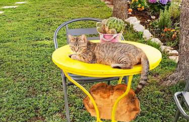 The Lady of the Lake studio - Photo 20