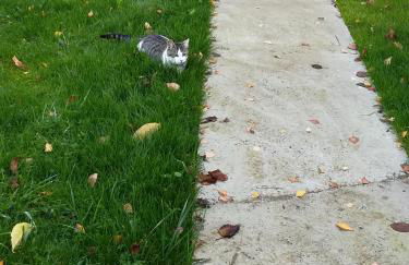 La Grange du Layon - Photo 10