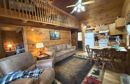 Cozy Bear Cabin-Stunning Mountain View, Dogs welcome with Pet Rate - Foto 10