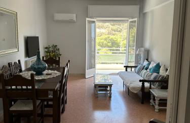 Sea view apartment steps away from the Beach Anavyssos Palaia Fokaia - Foto 11