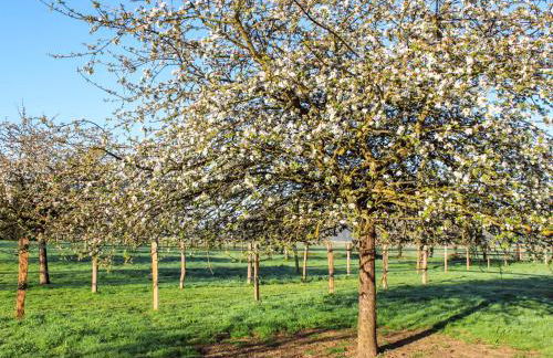 Holiday Home Le Verger by Interhome - Foto 14