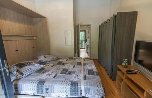 La maison de grand-pere, appt cote lac - Foto 15