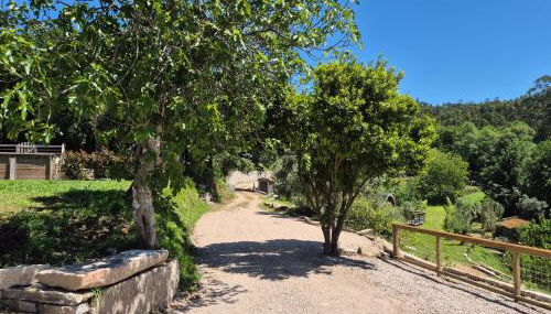 Casa grilo valença - Foto 2, Garden view