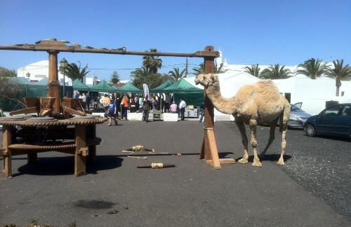 La Finca Uga - Photo 65