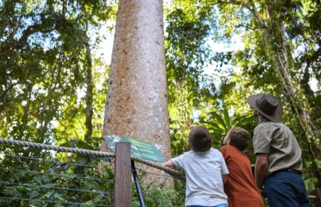 Paseo en globo por Cairns - Foto 12