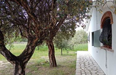 VILLA LUPINO - Foto 42