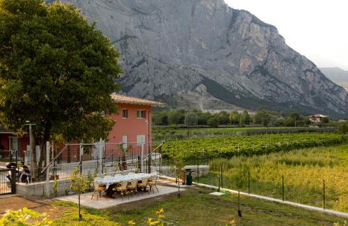 HOLIDAY APARTMENTS GIULIA - Green - Photo 16