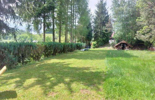 Farma Zdrowia - Foto 77