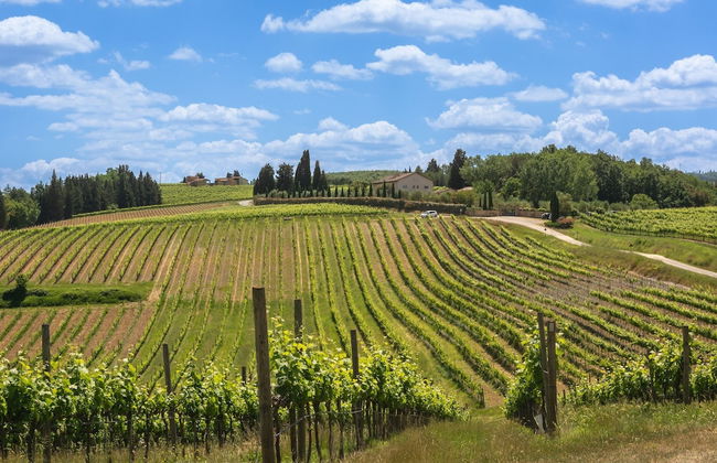 Francigena Loggia Pergola Shared Pool - Foto 27