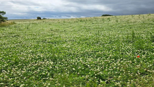 6 Person Holiday Home in Gorlev - Photo 5, Miscellaneous