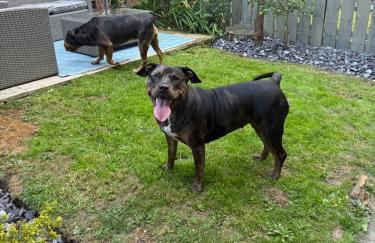 Your Home from Home - River bank - Foto 14