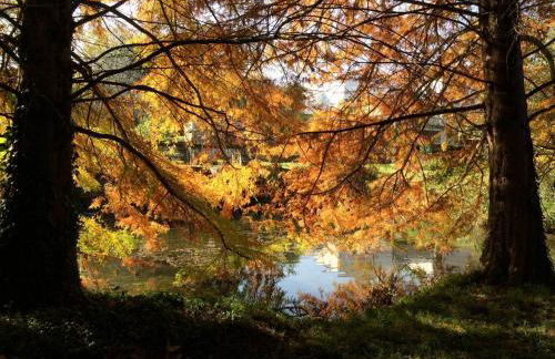 Le Moulin de Mansle - Foto 20