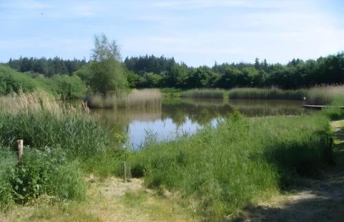 Micha's Ferienwohnung - Photo 23