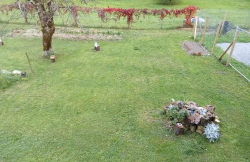 Casa della musica - Foto 10