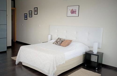 Retiro da cegonha - Foto 29