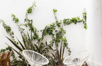 Monte dos Coureleiros - Foto 8