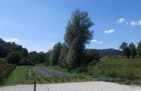 Agriturismo Terra e Lago d'Iseo Franciacorta - Foto 137