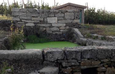 Casa do Feitor - Douro - Quinta da Cabrida - Foto 61