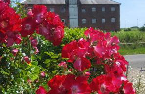 Wolds View - Foto 27