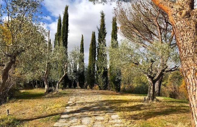 Casale degli Ulivi - Photo 46