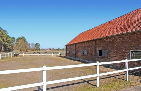 Ferienhof Dobbin - Foto 27