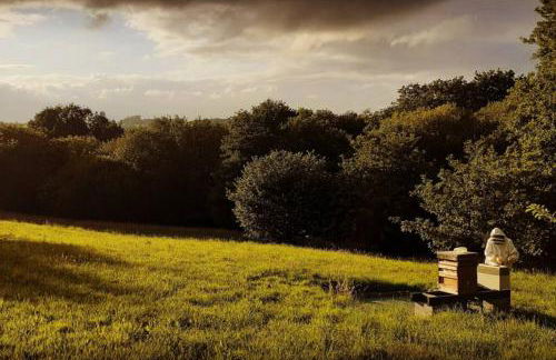 Old Inn House - Foto 30