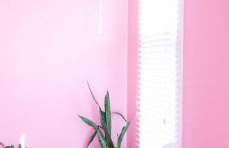 Lipstick & Boots 10 min to Broadway, Music Row, Fun - Foto 32