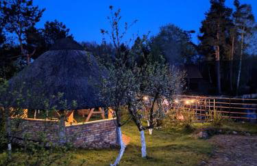 Przystanek Soszyca - Foto 23